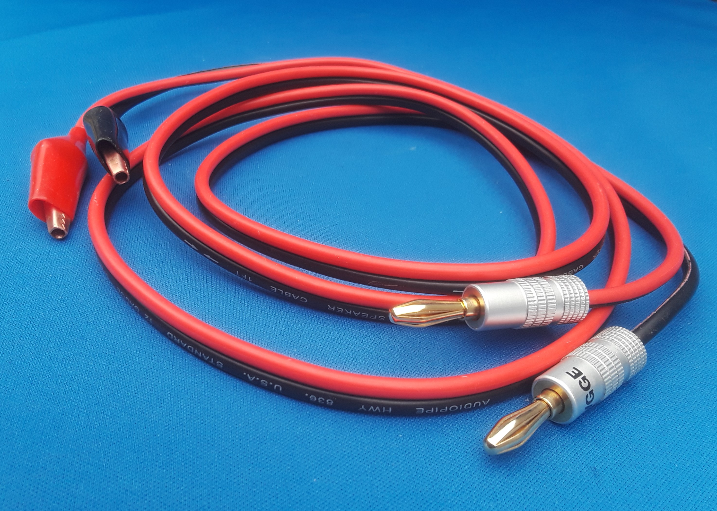 detox-wires-college-of-holistic-health